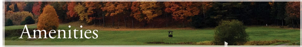 Bracebridge Golf Club amenities